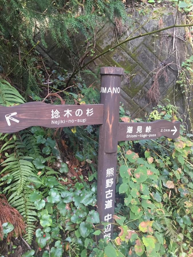 Kumano Winery Guest House Tanabe Esterno foto
